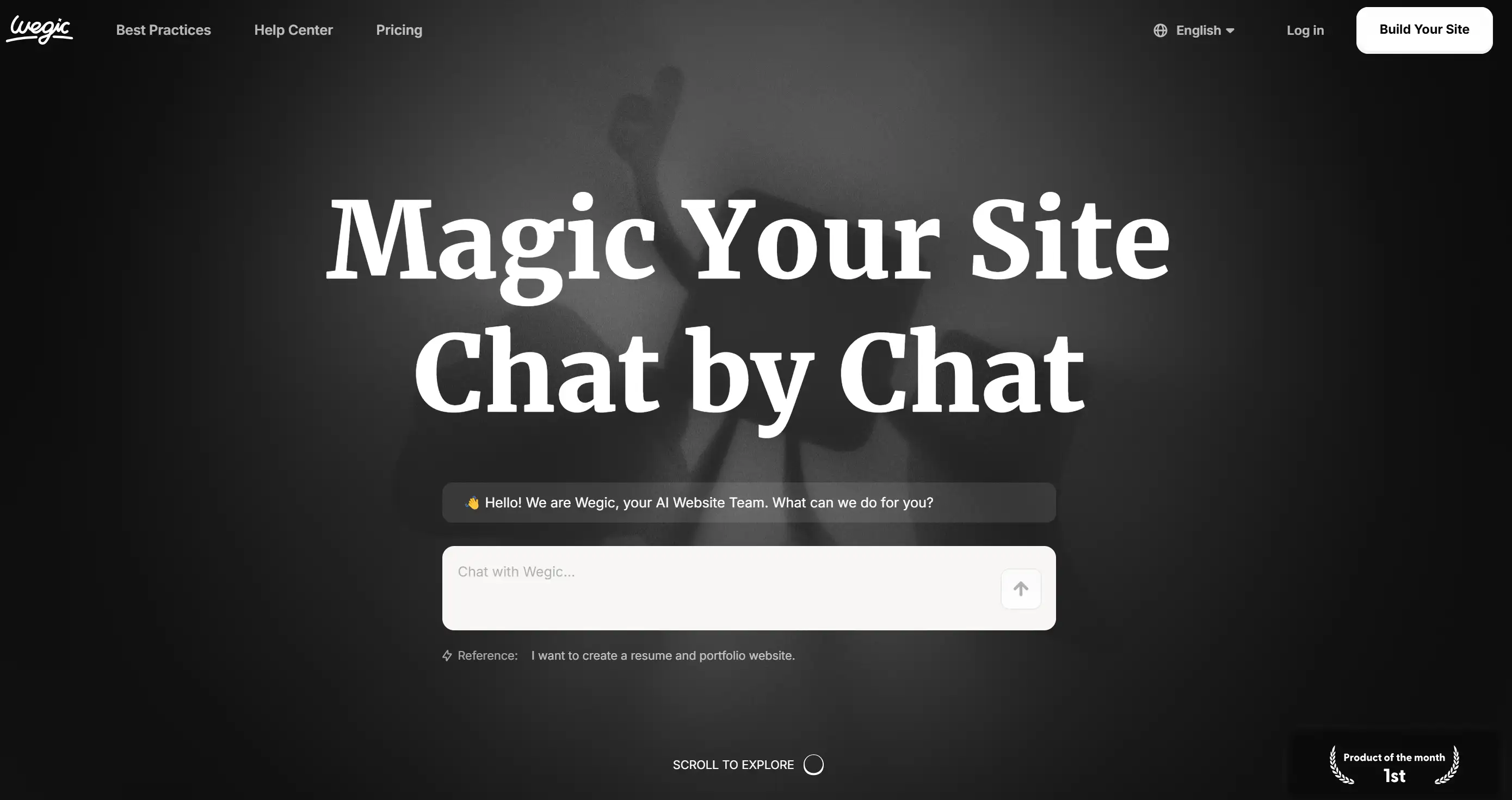 Wegic's homepage