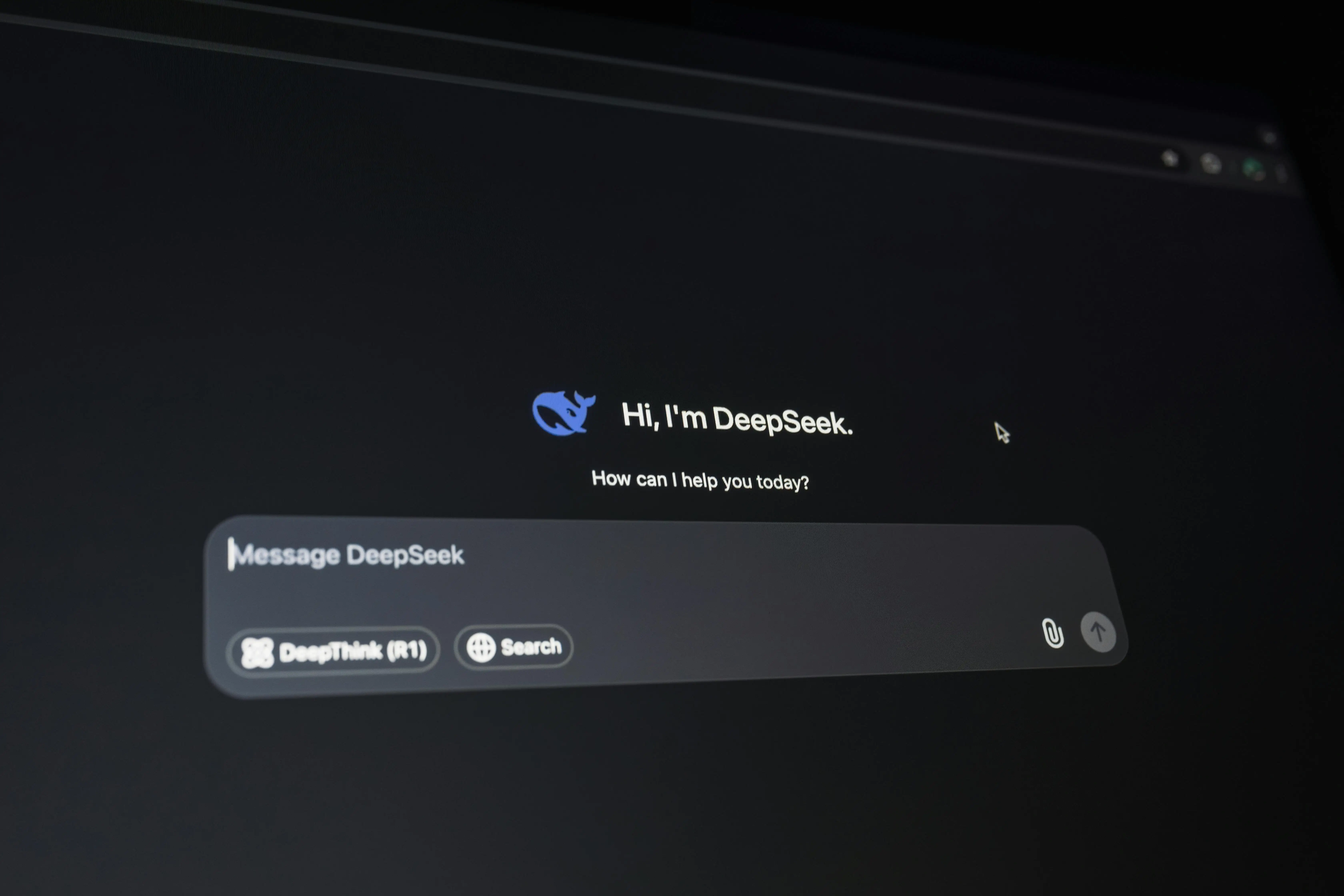 deepseek chatting page