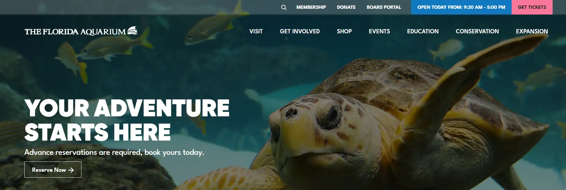 16 Best Website Header Design Examples to Learn From