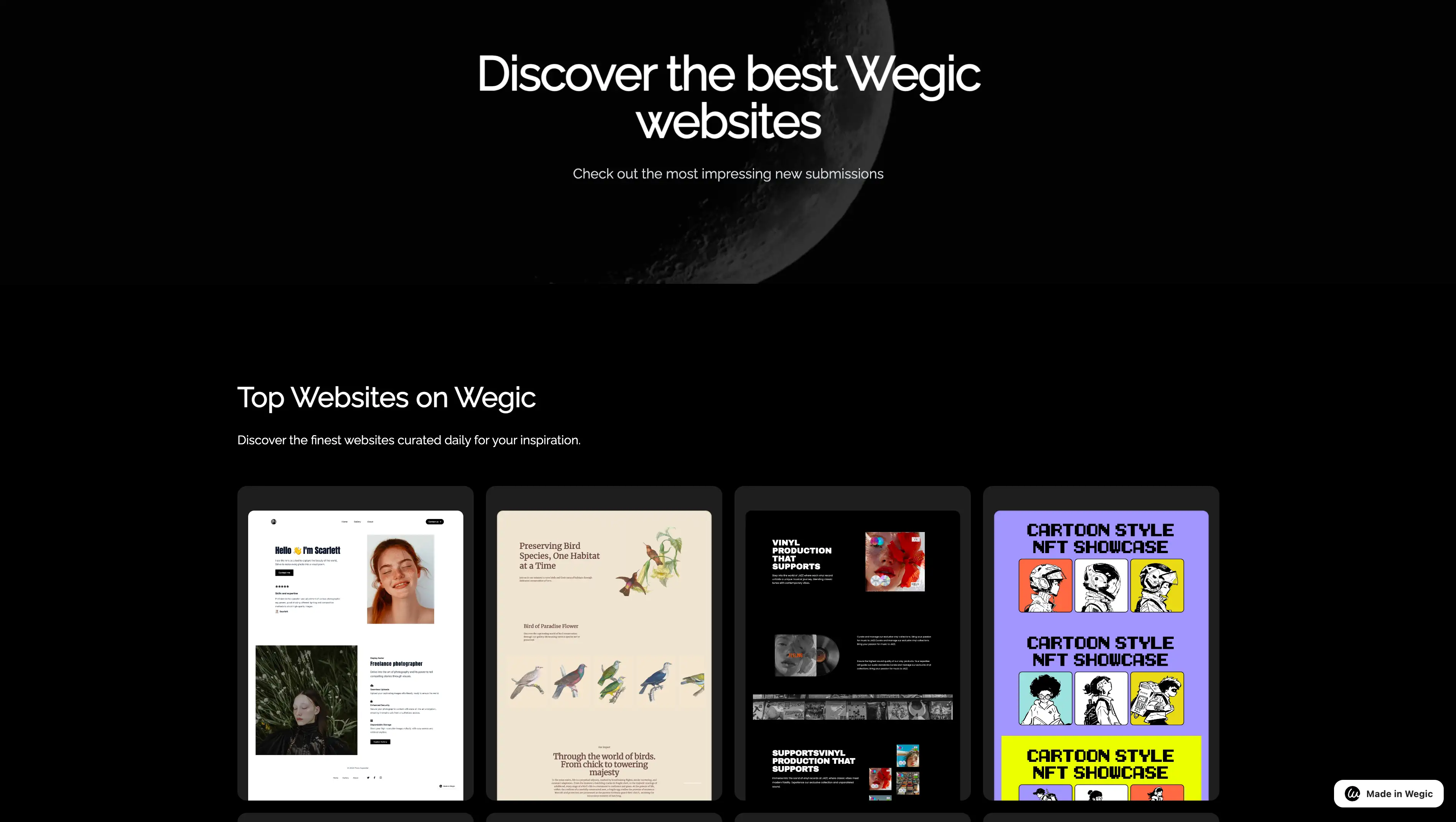 Insight into 5 Dominant Type of Websites