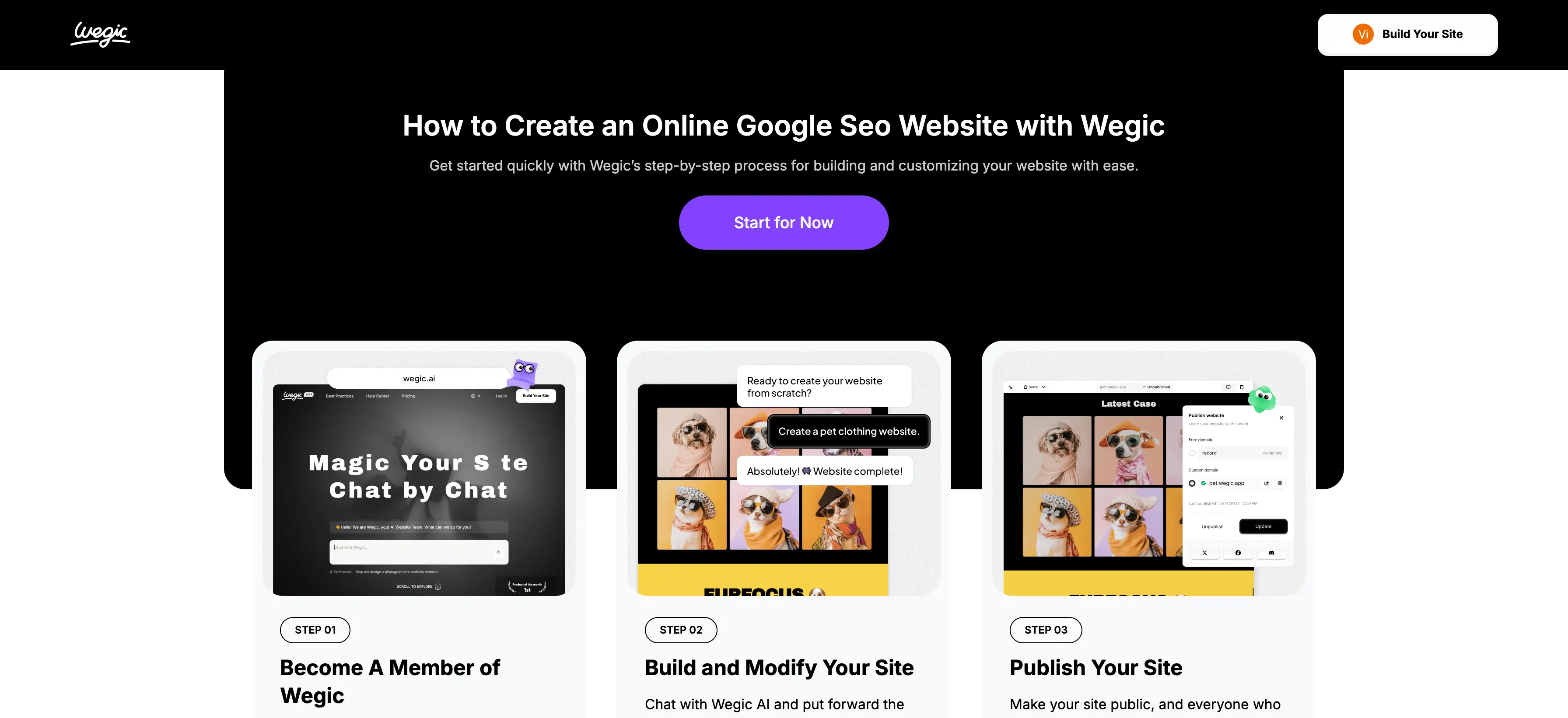 create an online seo website with wegic