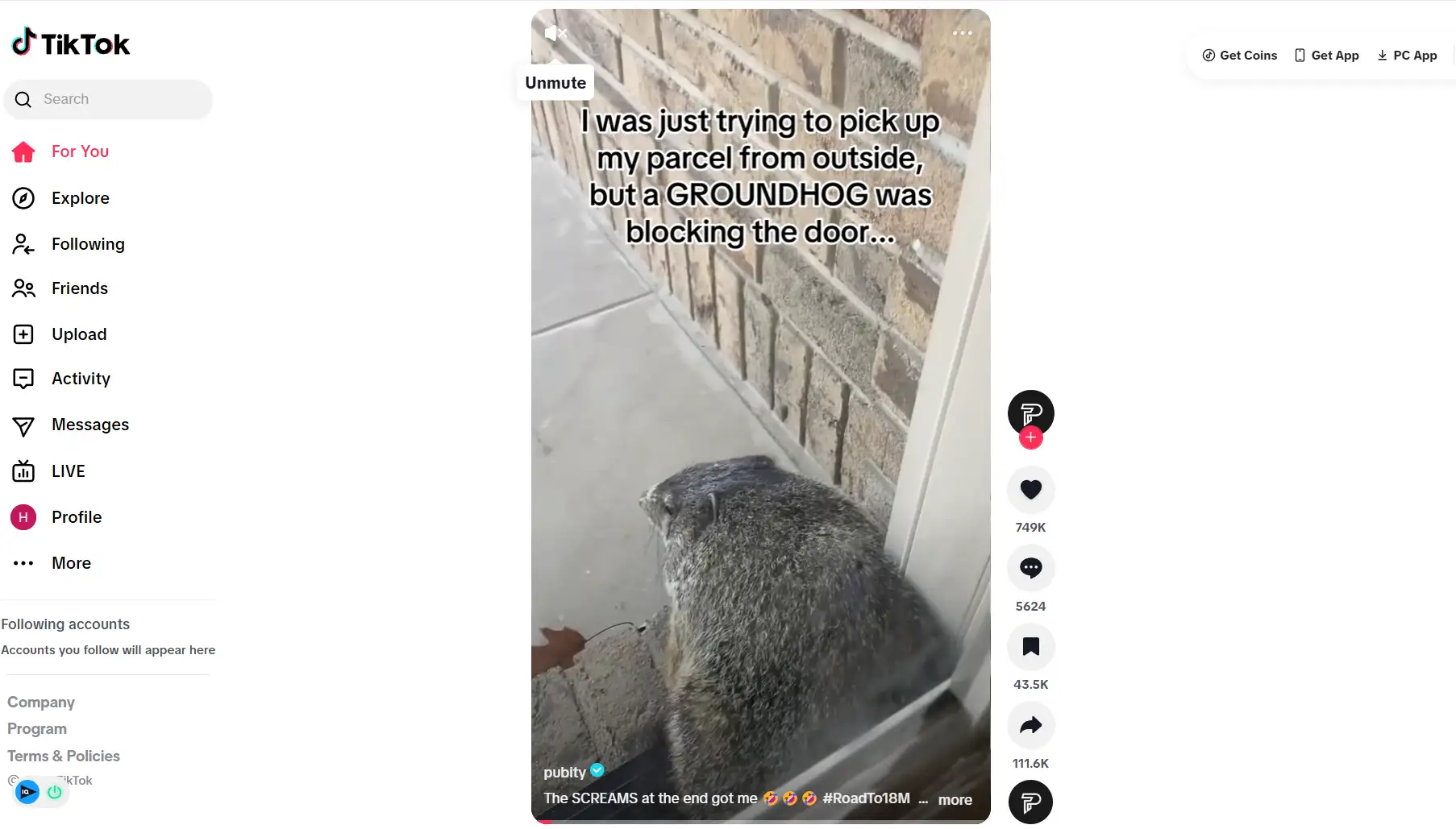 Tiktok's homepage